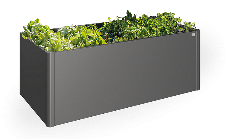E-shop Biohort Zvýšený truhlík na zeleninu 2 x 1 (tmavo sivá metalíza) 2 x 1 (2 krabice)
